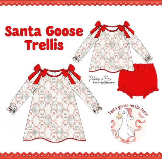 Santa Goose Trellis Set